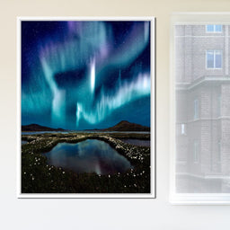 Enlightened Night - NicheCanvas