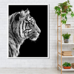 Black and White Sumatran Tiger - NicheCanvas