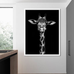 Black and White Giraffe - NicheCanvas