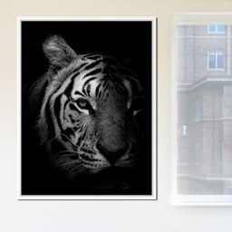 Black and White Fading Tiger - NicheCanvas