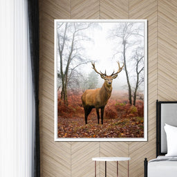 Red Deer Stag - NicheCanvas