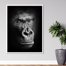 Black and White Gorilla - NicheCanvas