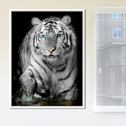 Blue Eyed Snow Tiger - NicheCanvas