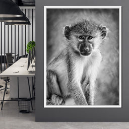 Monkey in Black & White - NicheCanvas