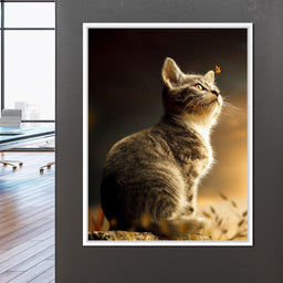 Cat - Milos Karanovic - NicheCanvas