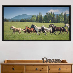 Horses of all Colors Running in a Pasture - Terrie Gray - NicheCanvas