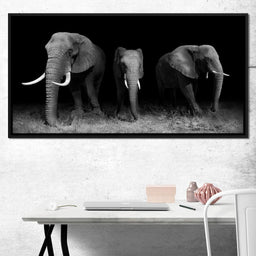 Black and White Elephants - NicheCanvas