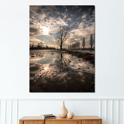 Reflections - Enzo - NicheCanvas