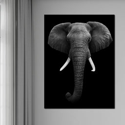 Black and White Elephant Face - NicheCanvas