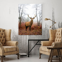 Red Deer Stag - NicheCanvas
