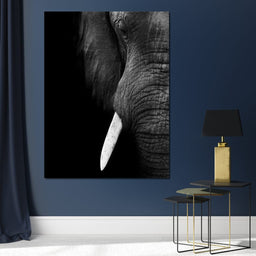 Black and White Elephant Close up - NicheCanvas