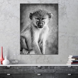 Monkey in Black & White - NicheCanvas