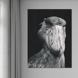 Black and White Shoebill Stork - NicheCanvas