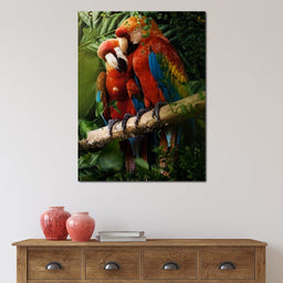 Beautiful Parrots - Milos Karanovic - NicheCanvas