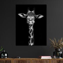 Black and White Giraffe - NicheCanvas