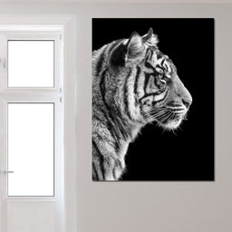 Black and White Sumatran Tiger - NicheCanvas