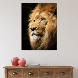 Lion View - Milos Karanovic - NicheCanvas