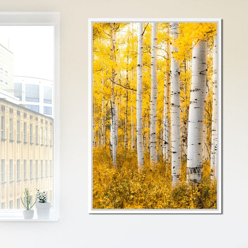 Yellow Forest - Colorado - Lucas Moore Canvas Print