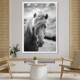 Icelandic Horse - NicheCanvas