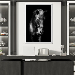 Black & White Horse Head - NicheCanvas