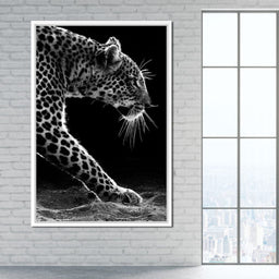 Black and white Leopard - NicheCanvas