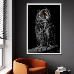 Black & White Owl - NicheCanvas