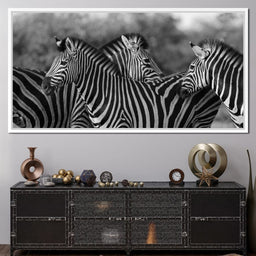 Zebra Herd in Black & White - NicheCanvas