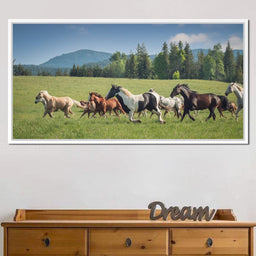 Horses of all Colors Running in a Pasture - Terrie Gray - NicheCanvas