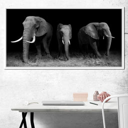 Black and White Elephants - NicheCanvas