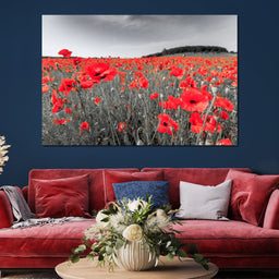 Flanders Fields - NicheCanvas