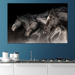 Three Black Stallions - NicheCanvas