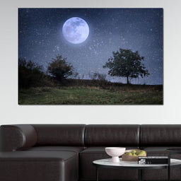 Beautiful Moonlight - NicheCanvas