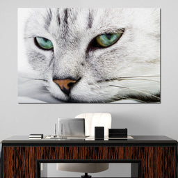 Cat Relaxing - NicheCanvas