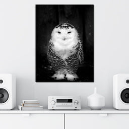 Black and White Snowy Owl - NicheCanvas