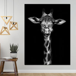 Black and White Giraffe - NicheCanvas