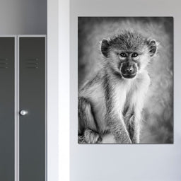 Monkey in Black & White - NicheCanvas