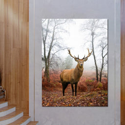 Red Deer Stag - NicheCanvas