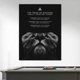 The Triad of Success - ABConcepts - NicheCanvas