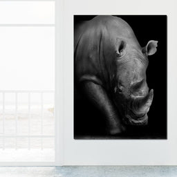 Black and White Rhino - NicheCanvas