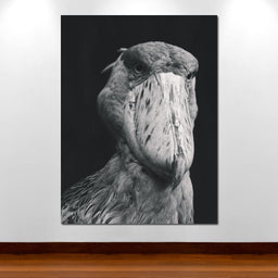 Black and White Shoebill Stork - NicheCanvas