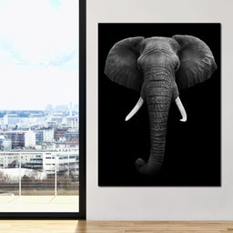 Black and White Elephant Face - NicheCanvas