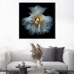 Backyard Flowers Series 4 - Brian Carson - NicheCanvas