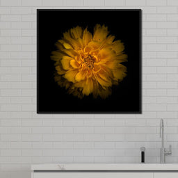 Orange Background Flowers - Brian Carson - NicheCanvas