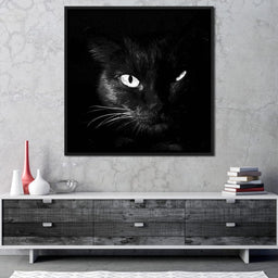Black and White Cat - NicheCanvas