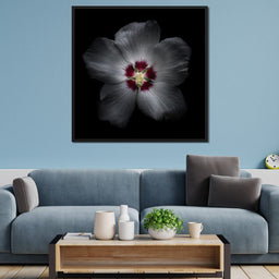 Backyard Flowers Color Version - Brian Carson - NicheCanvas