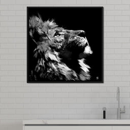 Lion Stare - Andy Brackpool - NicheCanvas