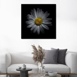 Backyard Flowers 3 panels - Brian Carson - NicheCanvas