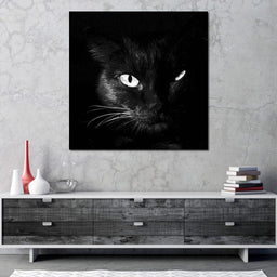 Black and White Cat - NicheCanvas