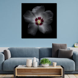 Backyard Flowers Color Version - Brian Carson - NicheCanvas