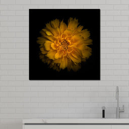 Orange Background Flowers - Brian Carson - NicheCanvas